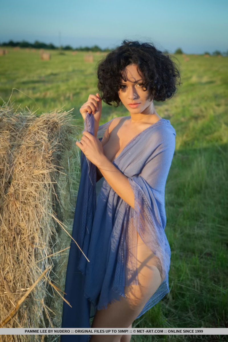 Busty Pammie Lee Posing Beside The Straw Bale-04