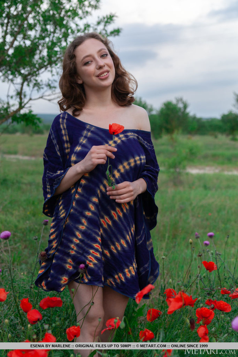 Busty Chick Posing At The Field-15